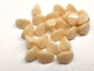 Preview: 5 g Pinch Beads Champagne cream Glasperlen