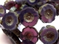 Preview: Flowers Blumen Dark Purple Picasso Glasperlen 2x