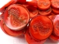 Preview: 1x Seahorse Coral Red Picasso