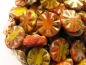 Preview: 2x Chunky Coin Orange Yellow Mix Pic.