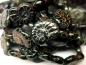 Preview: 2x Snails Black Picasso schwarz Schnecken