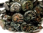 Preview: 2x Snails Black Picasso schwarz Schnecken