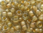 Preview: 11/0 10g TOHO Rocailles Black Diamond Orange Creme