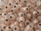 Preview: 15/0 Rocailles TOHO Copper Lined Alabaster 10g