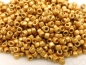 Preview: 15/0 Rocailles TOHO PF Matte Galvanized Starlight goldfarben 10g