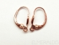 Preview: 2 Ohrbrisuren 925 Silber rose vergoldet