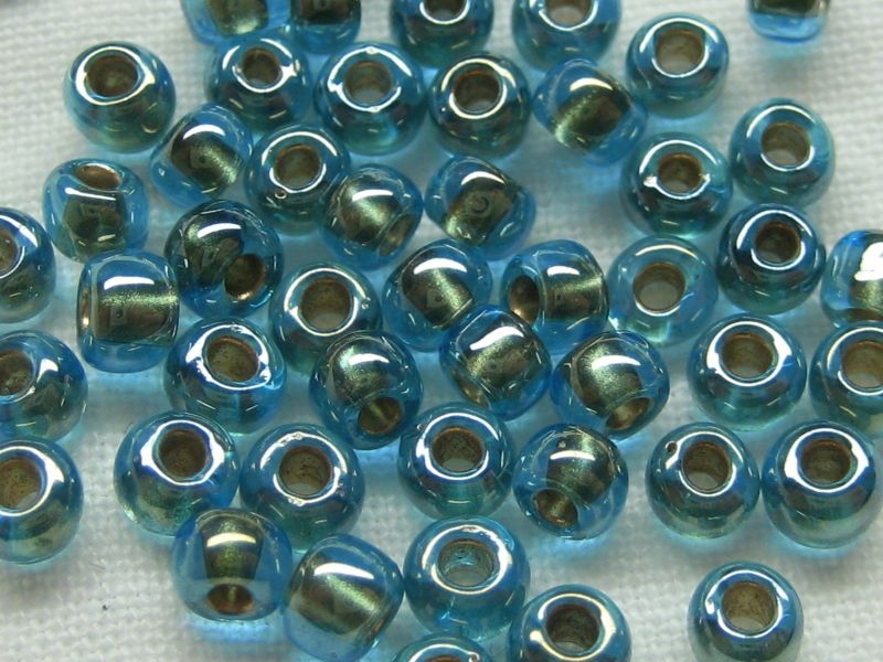 6/0 Rocailles TOHO Gold Lined Aqua 10g